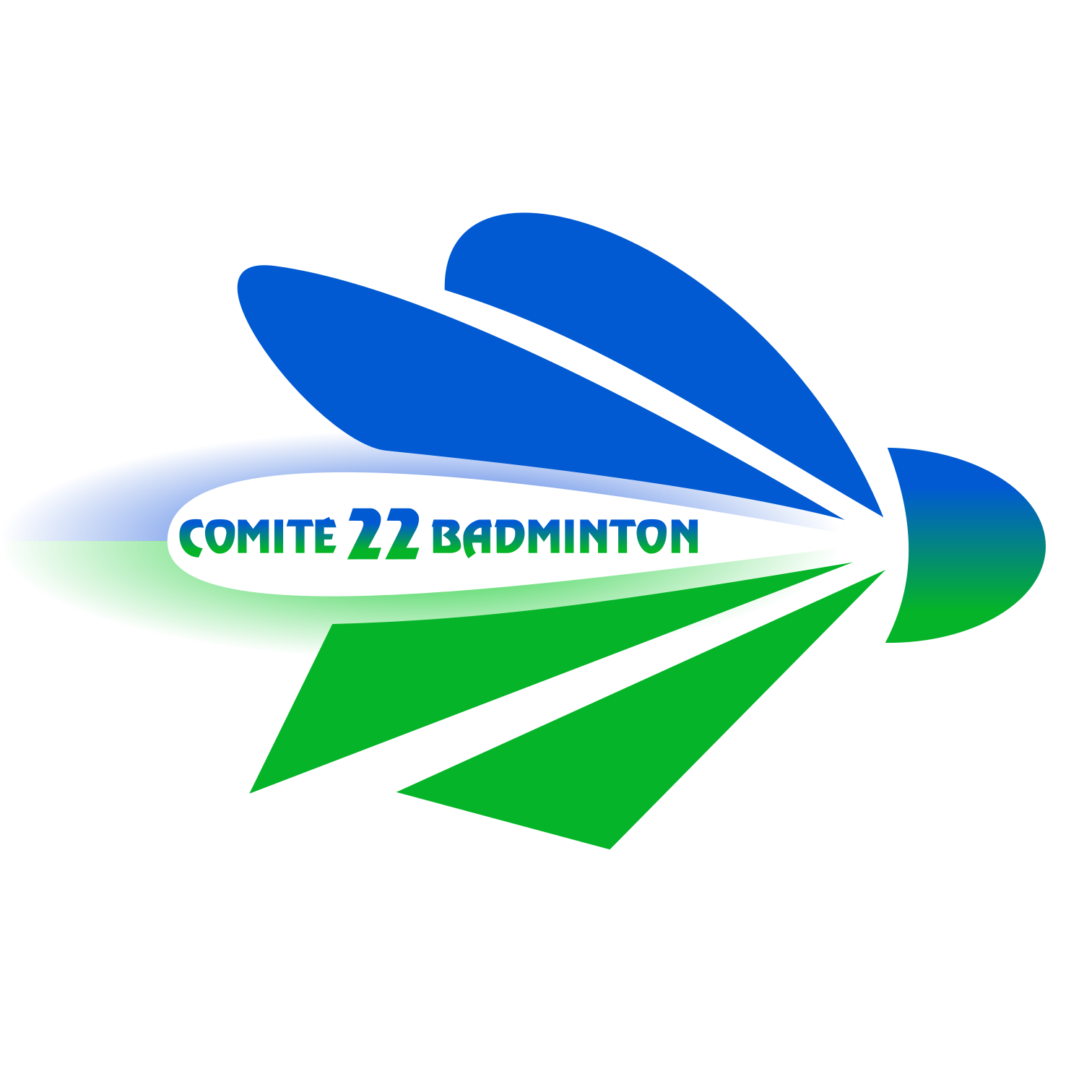 Comité des Côtes-d'Armor de badminton